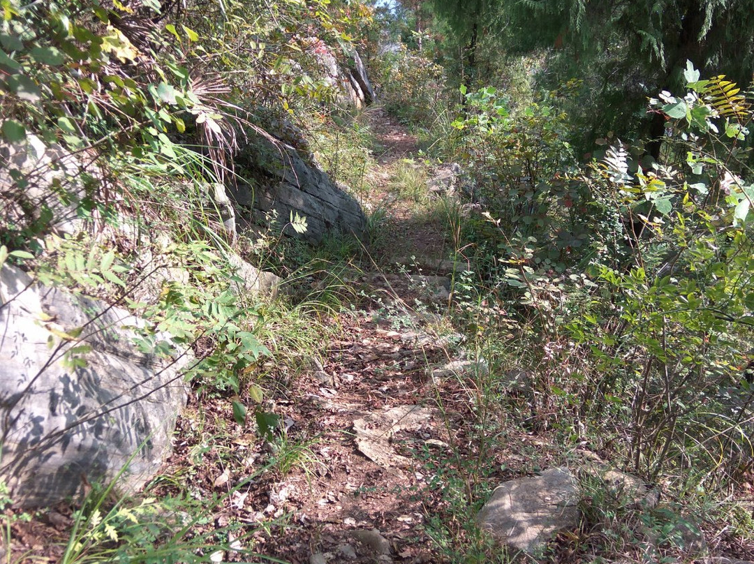 滴翠峡景点图片