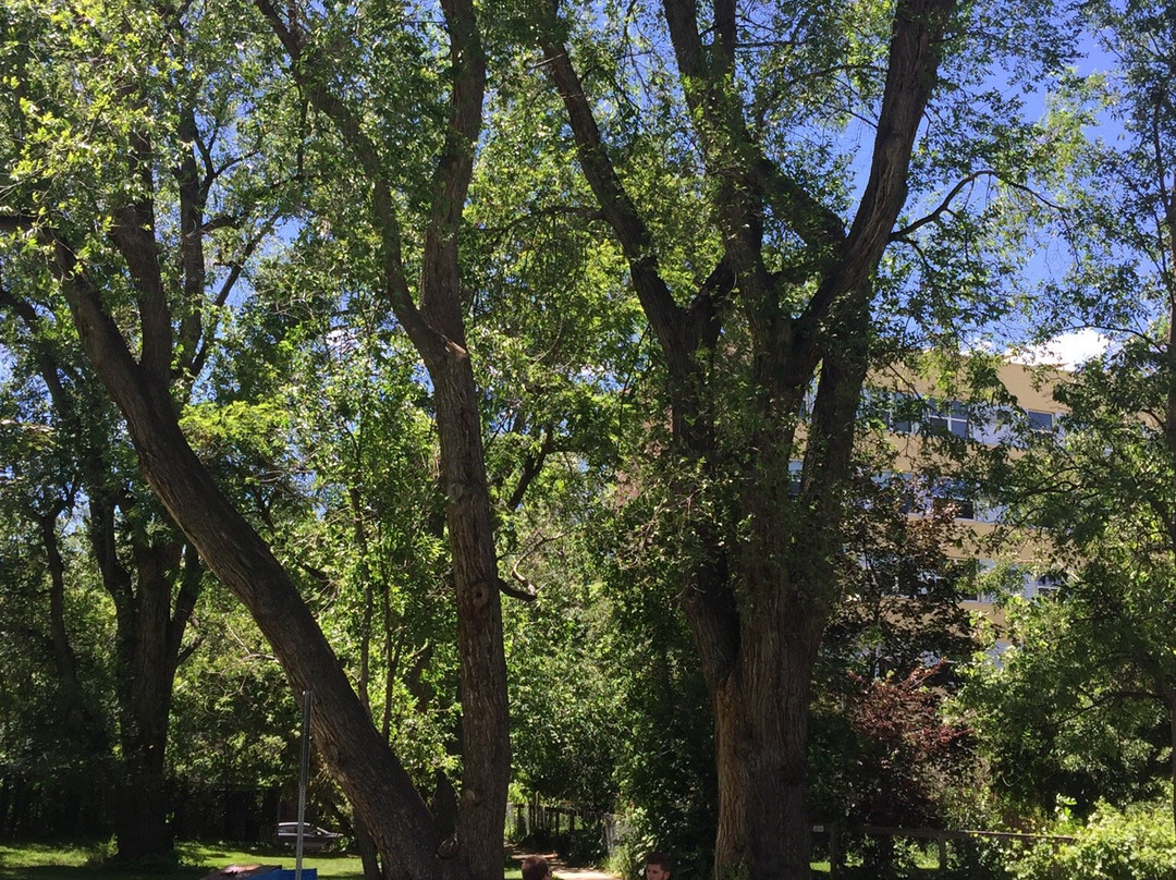 Emma Gomez Martinez Park-博尔德必去景点