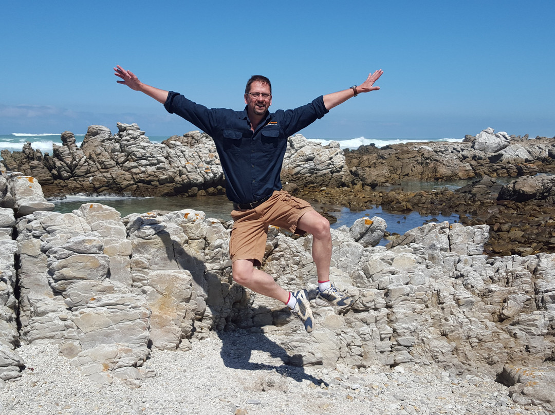 African Hoopoe Tours-开普敦中心区必去景点