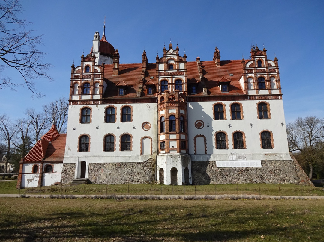 Schloß Basedow景点图片
