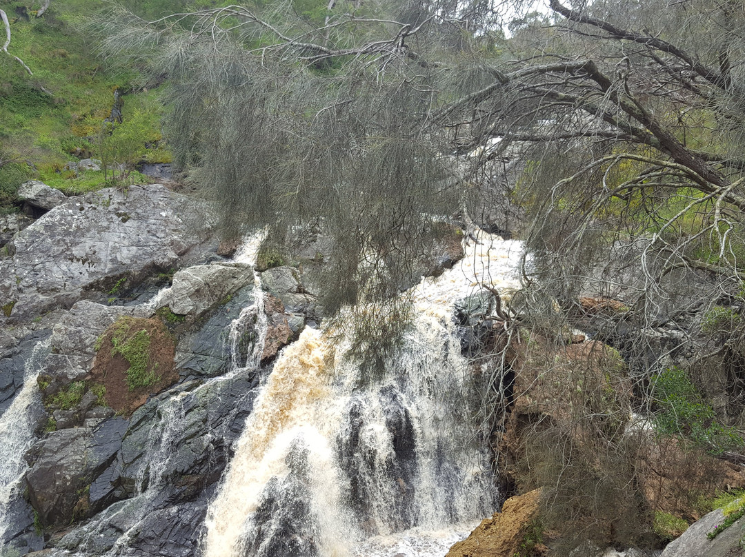 Hindmarsh Valley旅游攻略图片