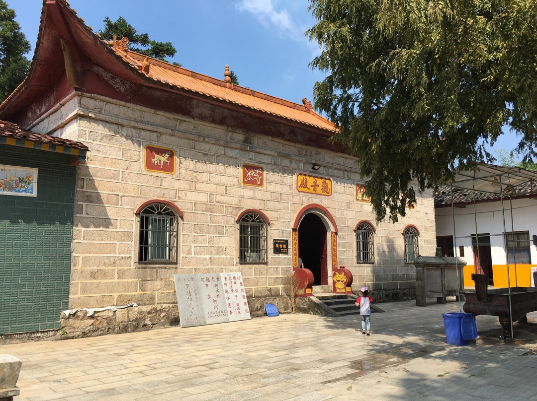 大云山国家森林公园-岳阳县必去景点