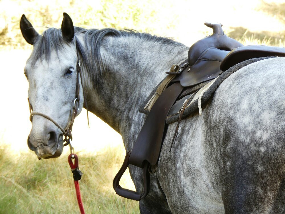 Caballos Albarracin景点图片