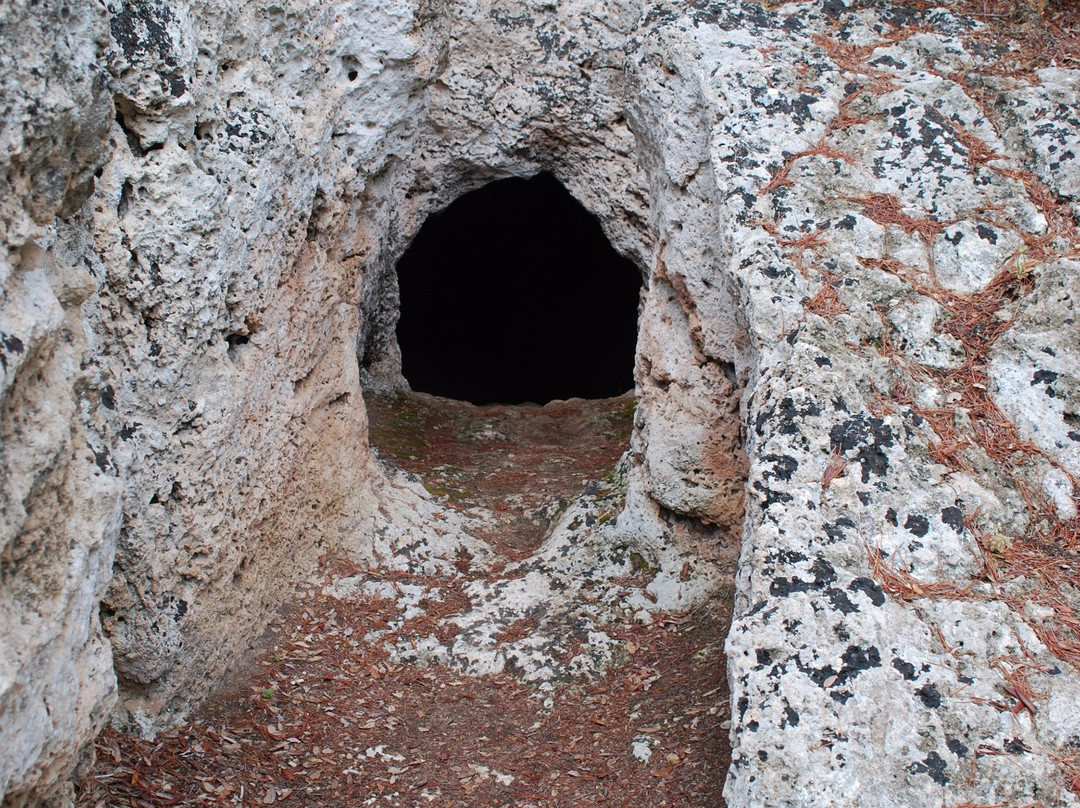 Cuevas de l'Alzinaret-Cala Sant Vicenc必去景点