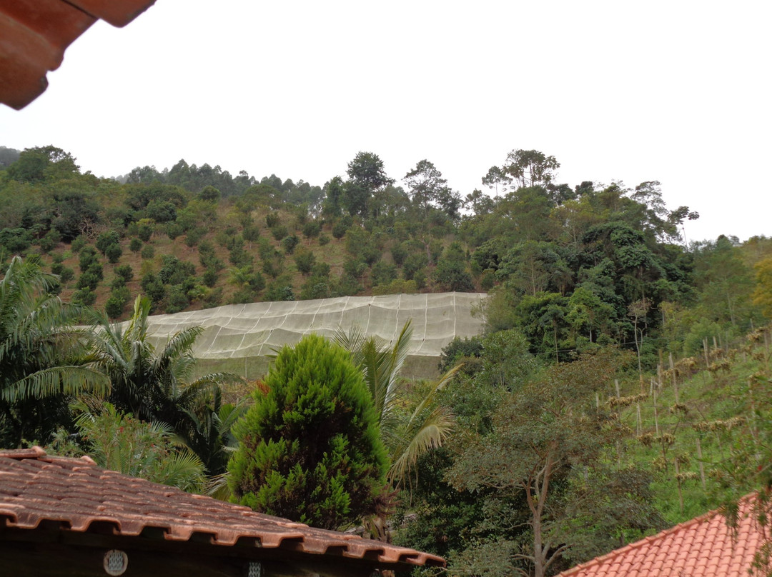 Vinícola Tonole-Venda Nova Do Imigrante必去景点