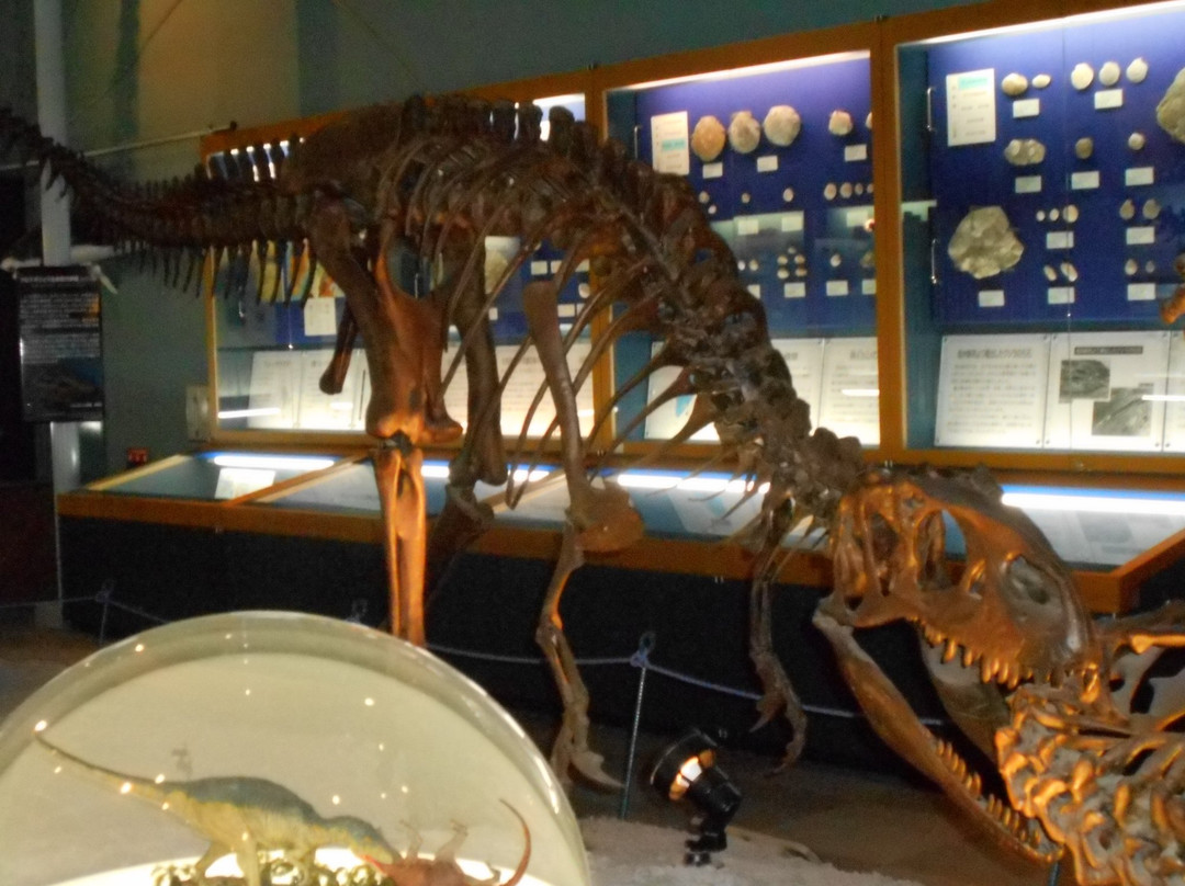 Shinshu Shinmachi Fossil Museum-长野县必去景点