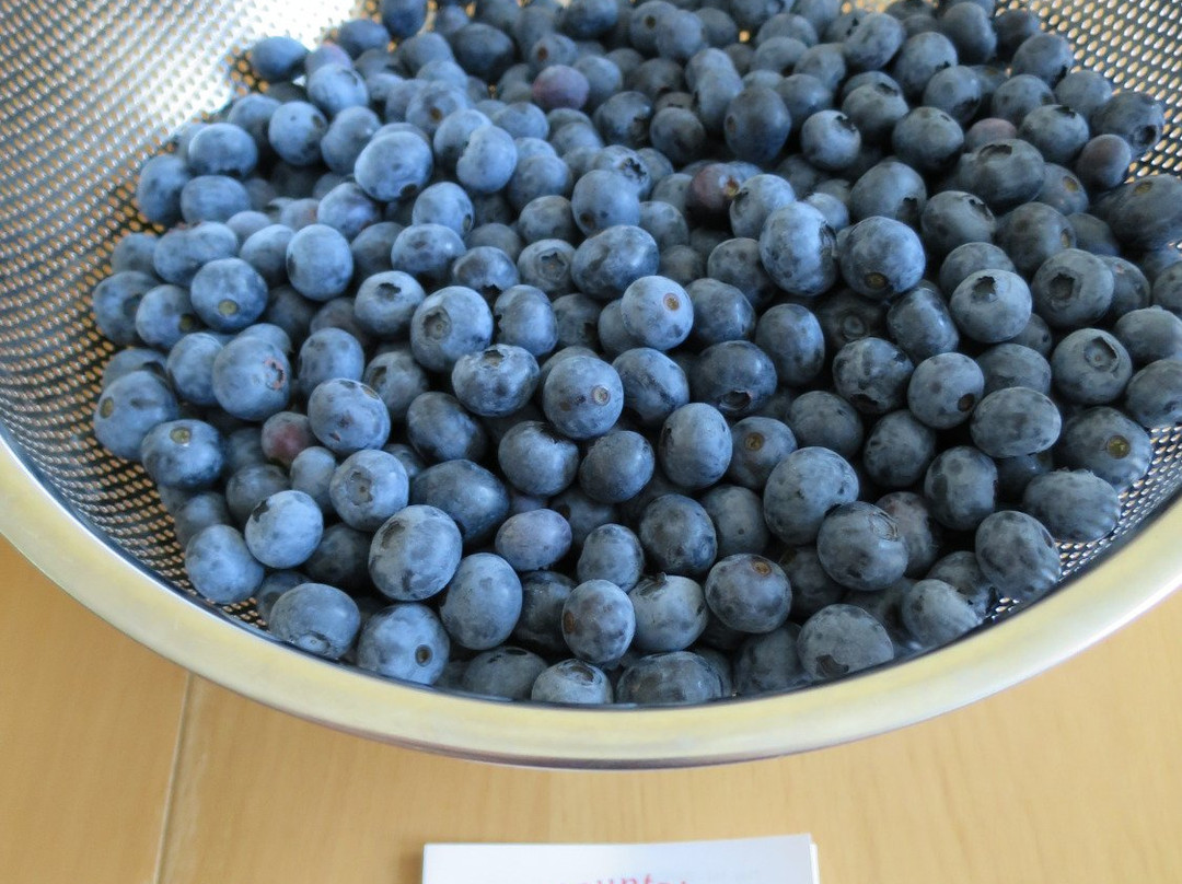 Catoctin Mountain Orchard-Thurmont必去景点