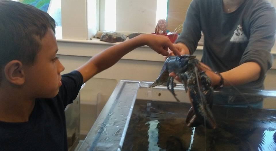 Blue Ocean Discovery Center-汉普顿必去景点