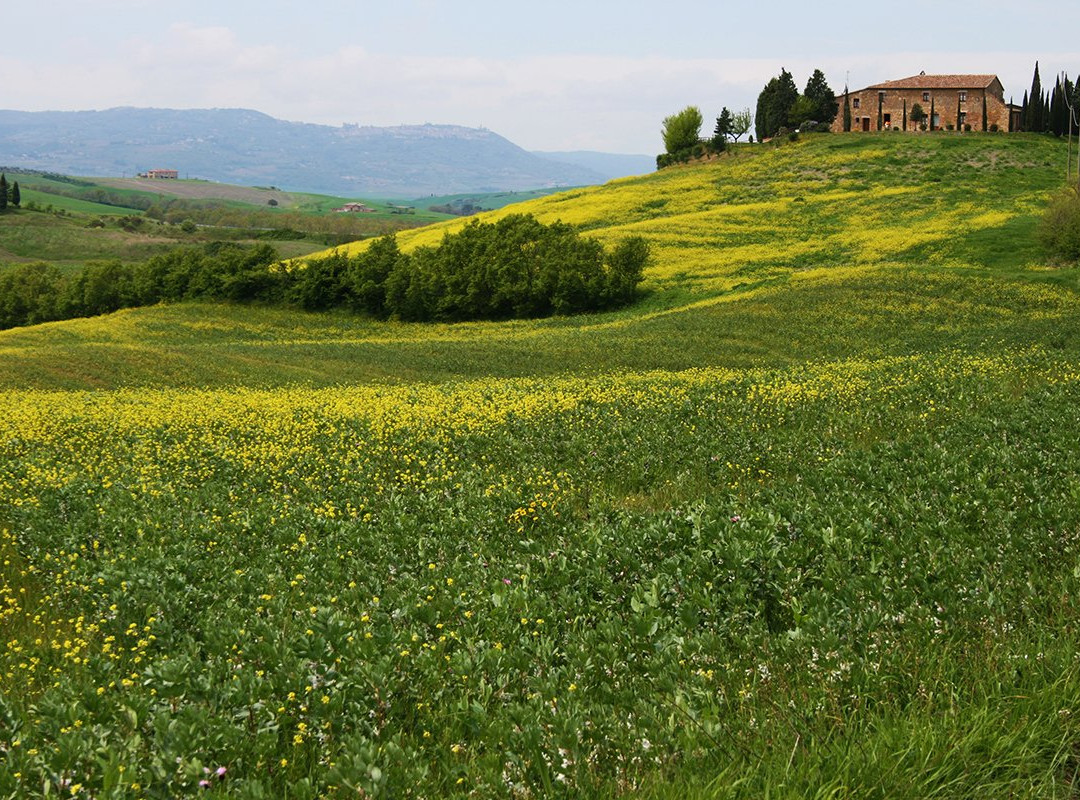Holiday Tuscany NCC-里窝那必去景点