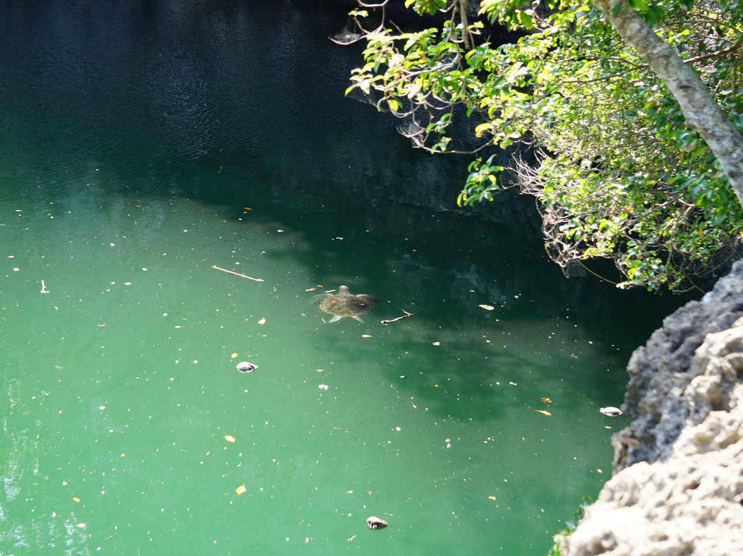 Trou aux Tortues-Ouvea必去景点