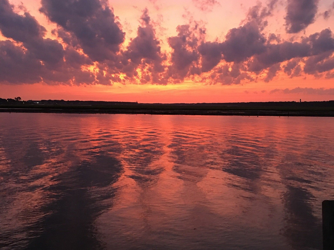 Tom's Cove Park