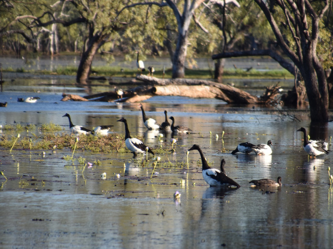 Leichhardt Camping Park