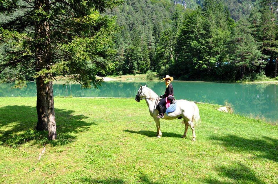 Horse Club Lesce景点图片