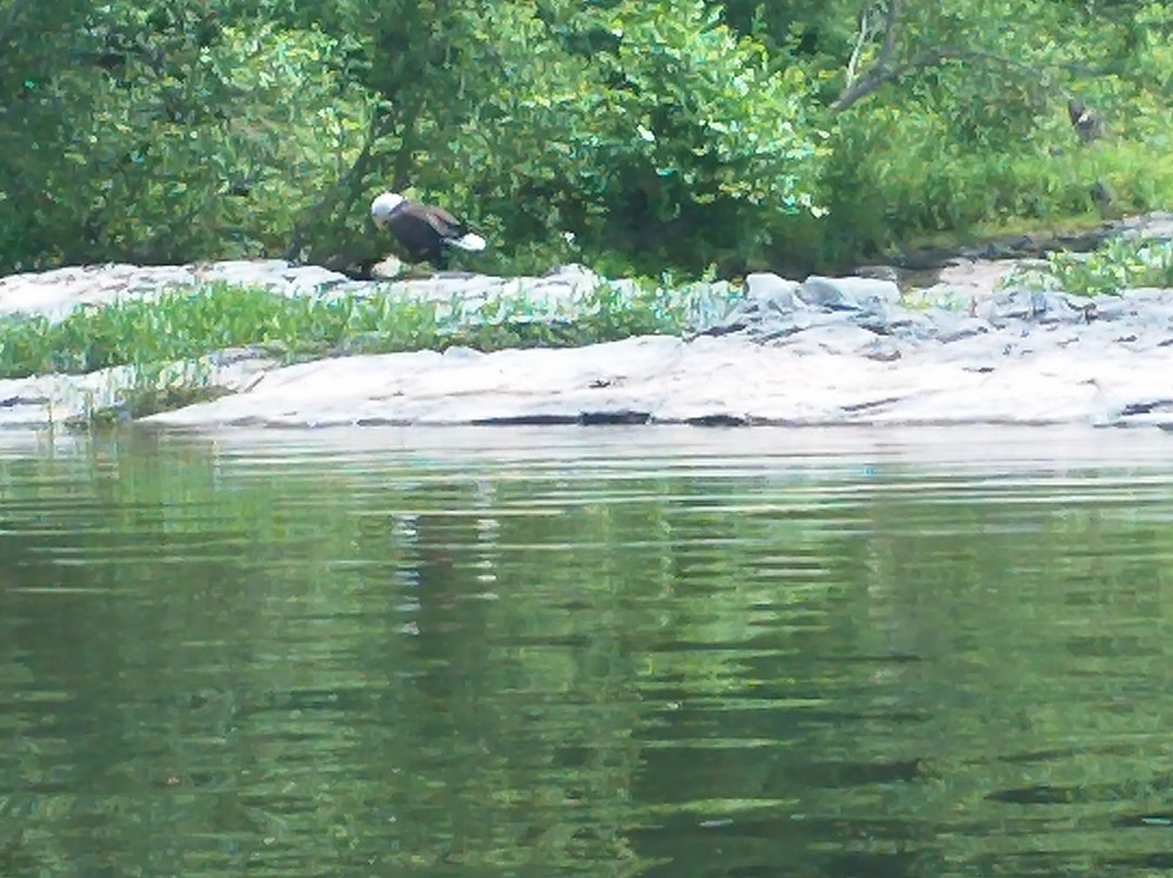 Kittatinny Canoes景点图片