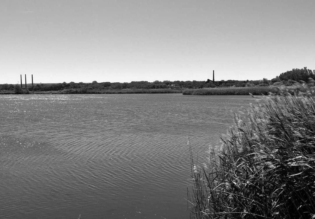 Lake Erie Arboretum at Frontier-伊利必去景点