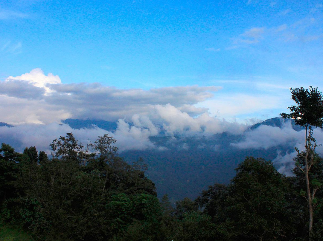 Chavi Village Resort
