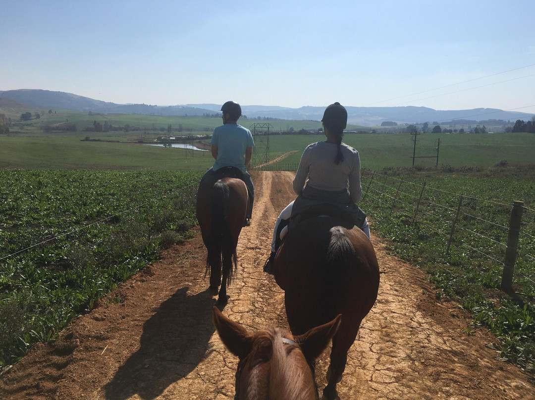 Buffelsbosch Equestrian景点图片
