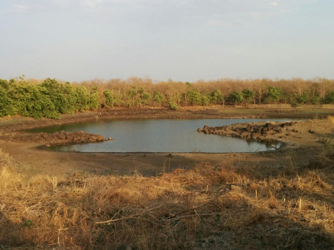 Tipeshwar Wildlife Sanctuary景点图片