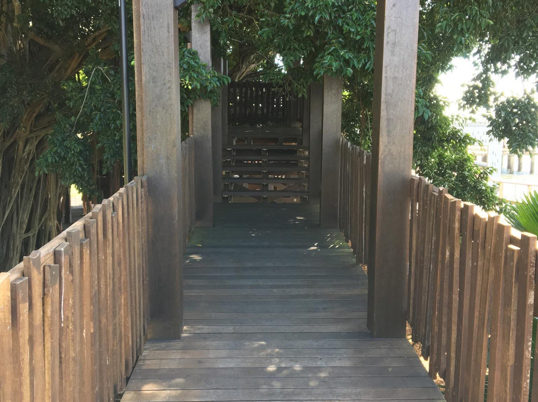 Figtree Playground-凯恩斯必去景点