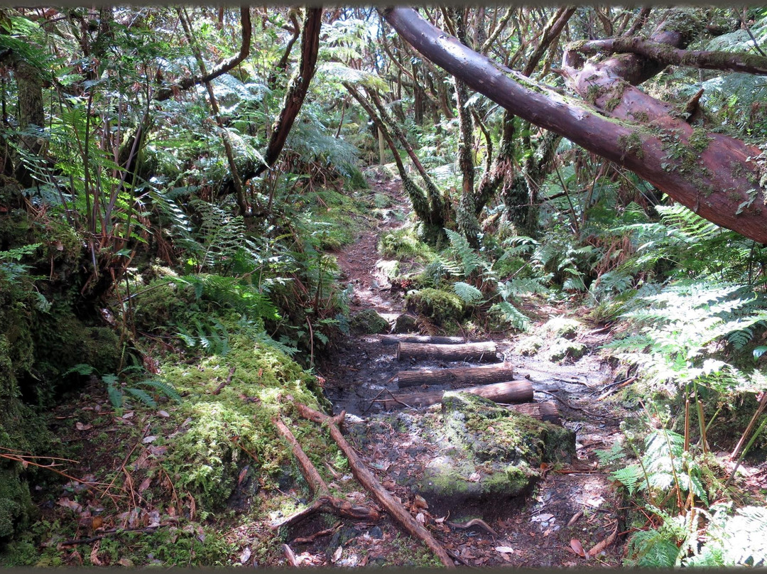 Mistérios do Sul do Pico Trail景点图片