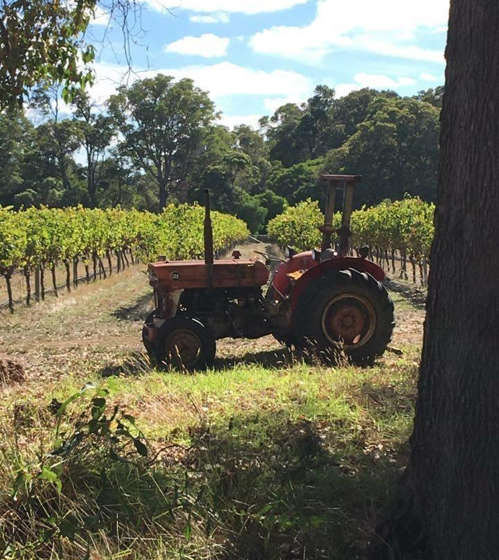 Cape Grace Wines-Cowaramup必去景点