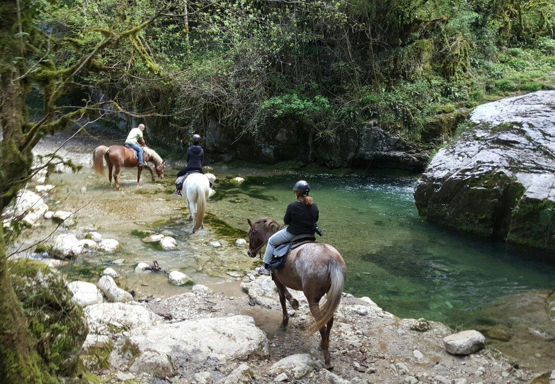 Diego, Balades et Randonnées à Cheval景点图片