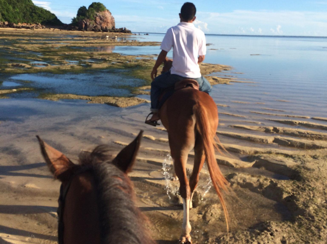 Kuta Horses-Kuta必去景点