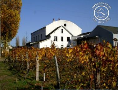 Cave des Vins de Bourgueil景点图片