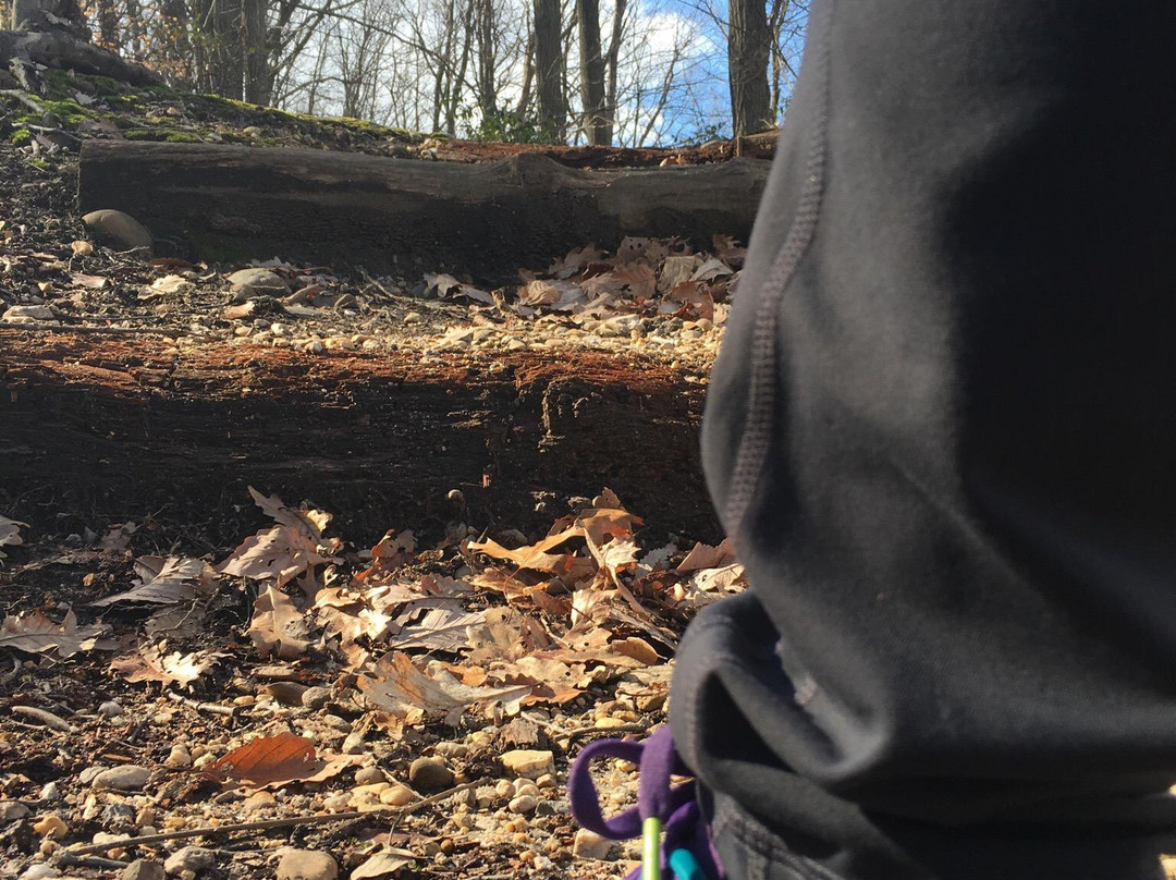 Winkler Botanical Preserve-亚历山德里亚必去景点