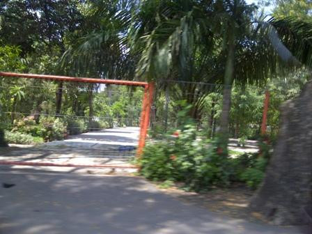 Wonorejo Nursery-泗水必去景点