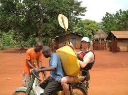 Dark in Africa Safaris