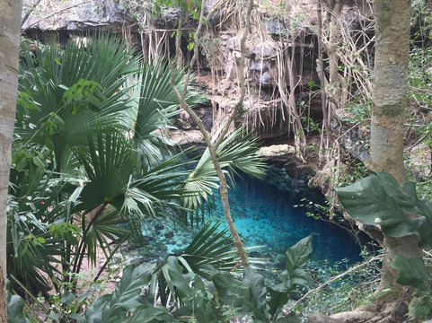 Yucatan Dive Center-梅里达必去景点