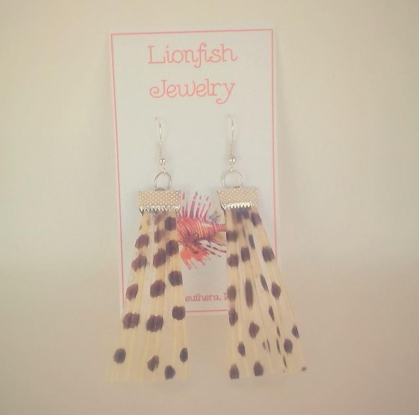 The Blue Seahorse Gift Shop-Rock Sound必去景点