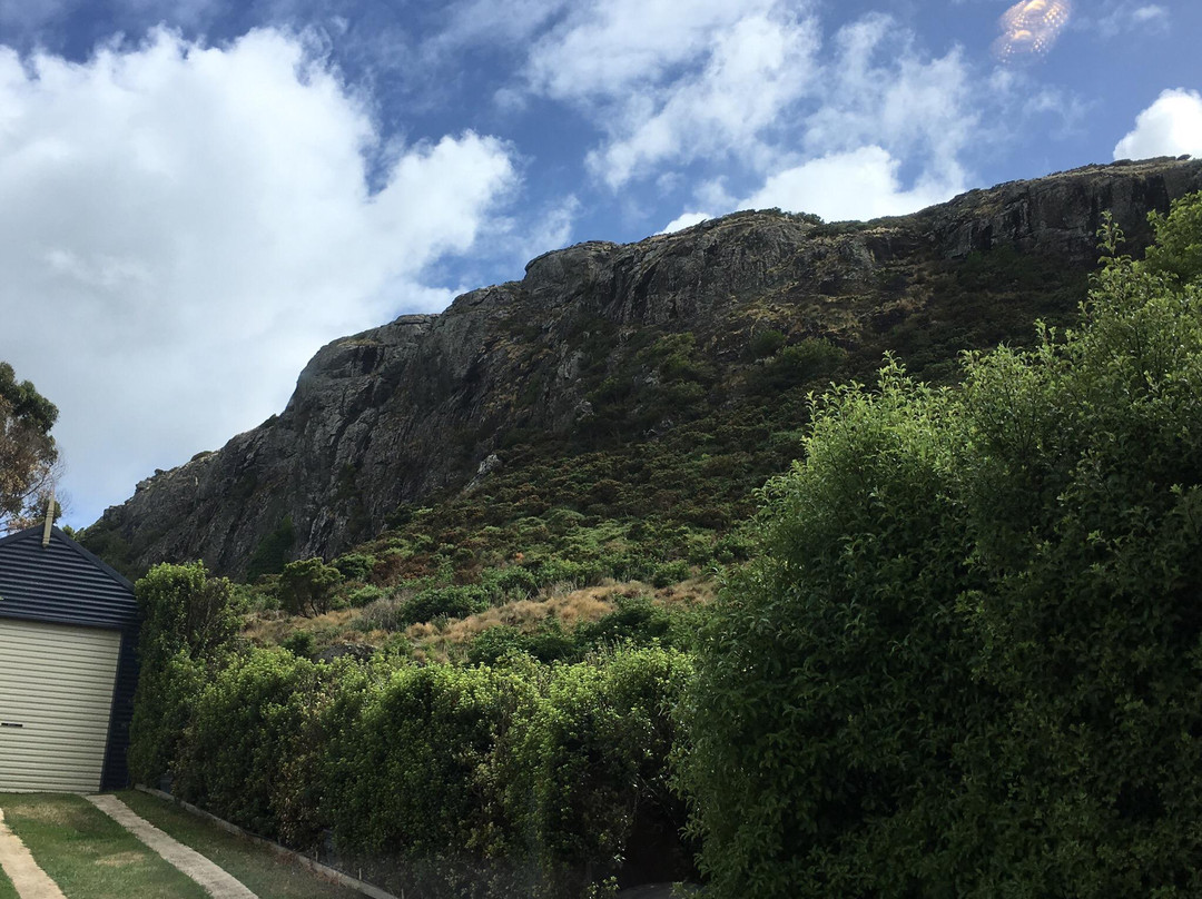 On the Terrace主图