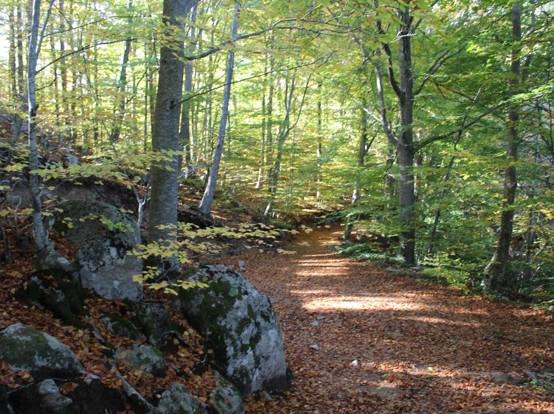 Ruta Pack en el Montseny Guilleries景点图片