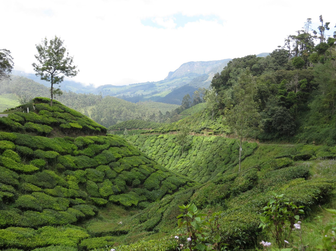 Kerala Bicycle Trips景点图片