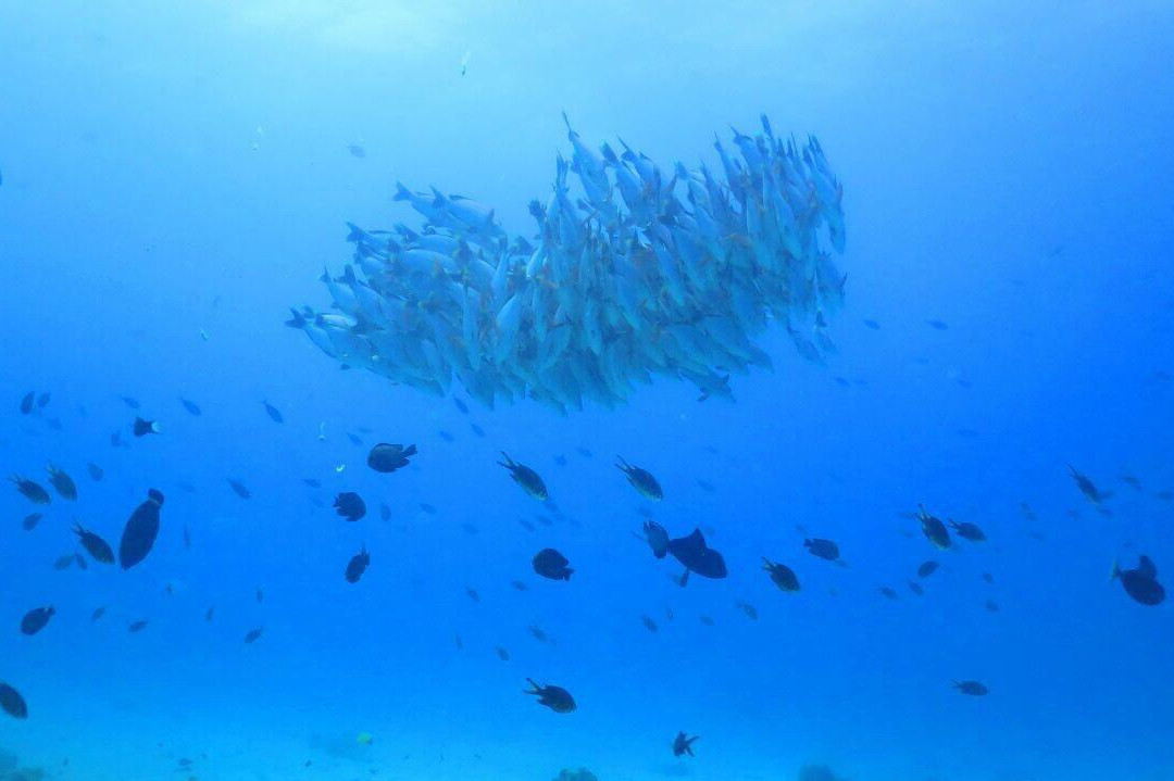 Extreme Water Sports-迪拜必去景点