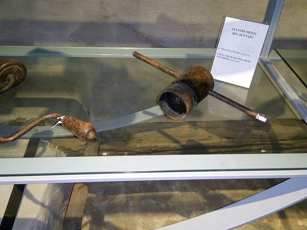 Diffused Museum of Wine-Monte Porzio Catone必去景点