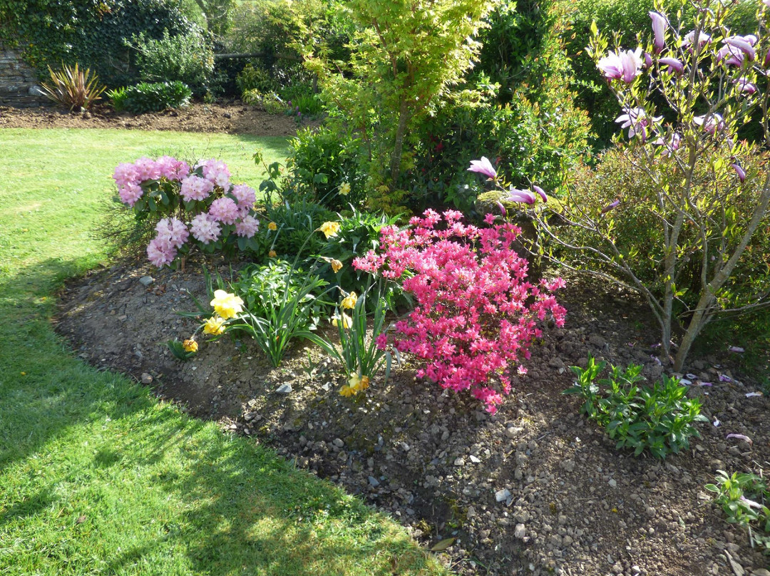 Copper Meadow at Trevadlock Farm主图