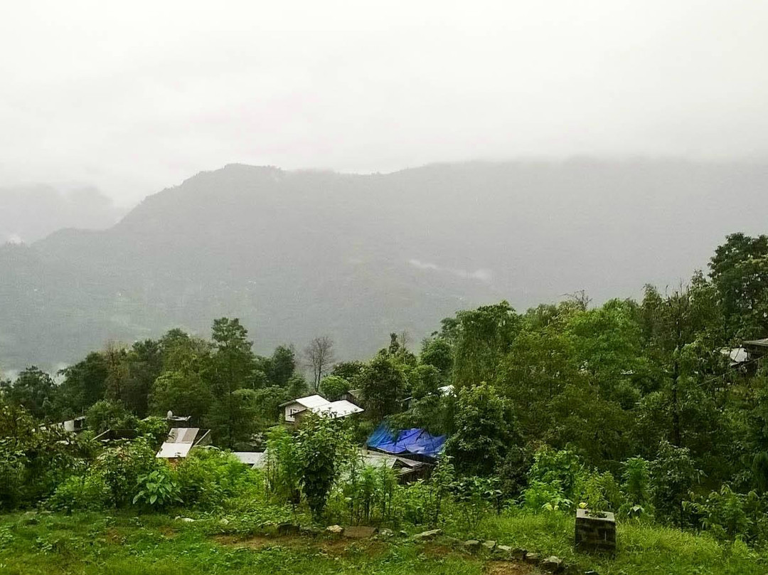 Travel Vista Homestays主图