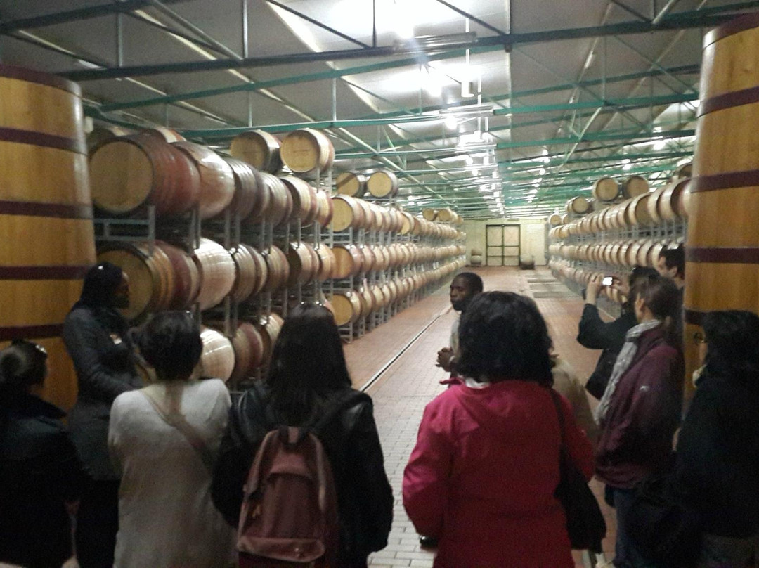 Wow Cape Town Tours-开普敦中心区必去景点