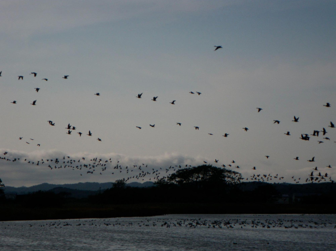 Miyajimanuma-美呗市必去景点