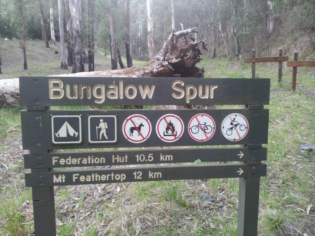 Bungalow Spur Hiking Trail景点图片