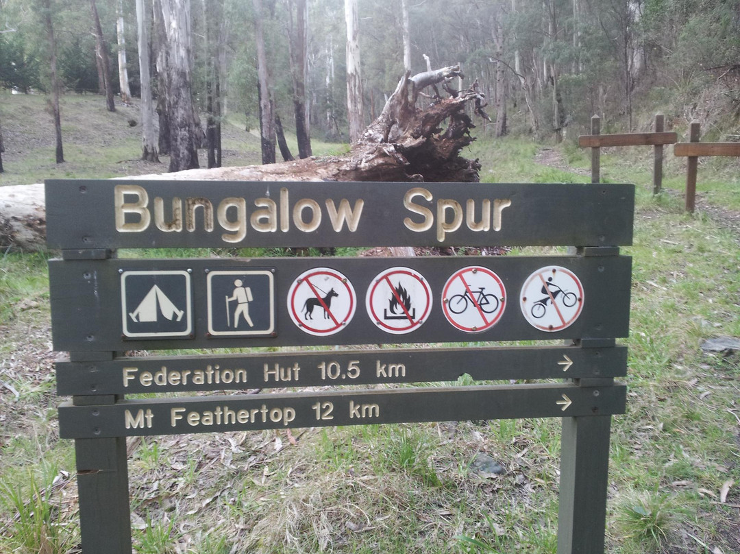 Bungalow Spur Hiking Trail-Harrietville必去景点