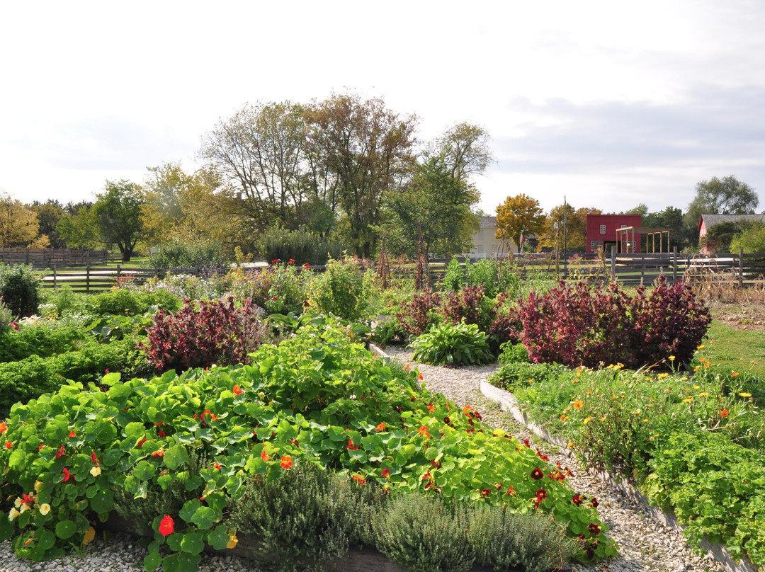 Eagle旅游攻略图片