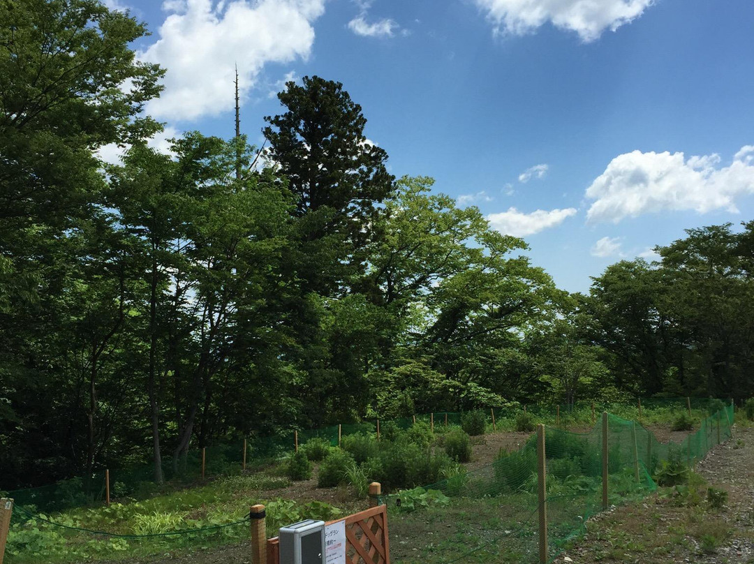 Wild Dog Run-川崎町必去景点