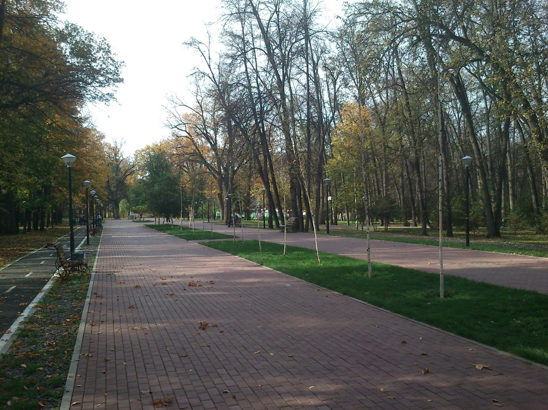M. Gafuri Central Park of Culture and Recreation景点图片