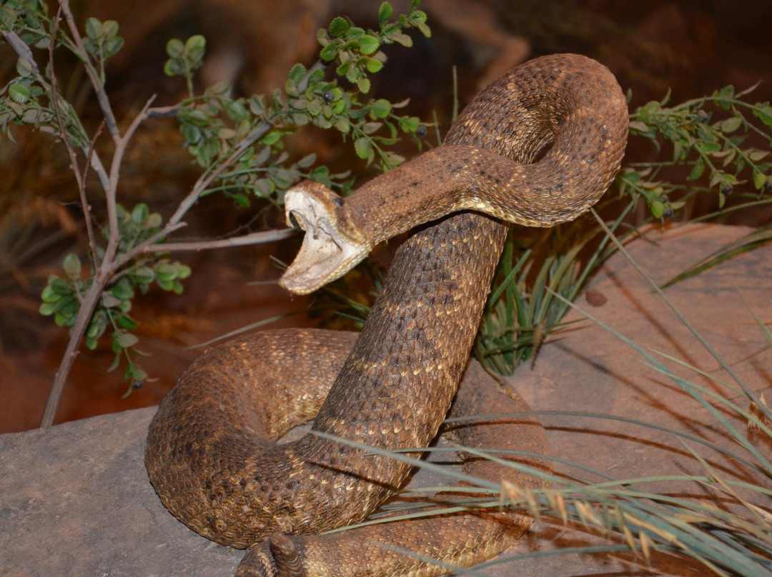 Chisholm Trail Heritage Center-Duncan必去景点