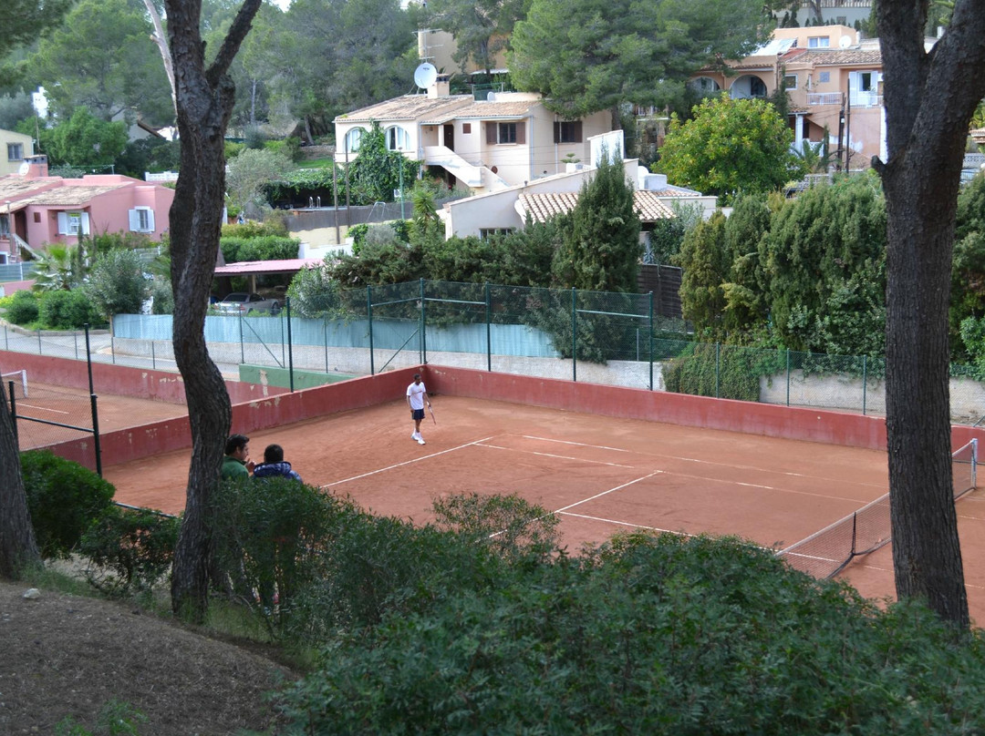 Costa de la Calma旅游攻略图片