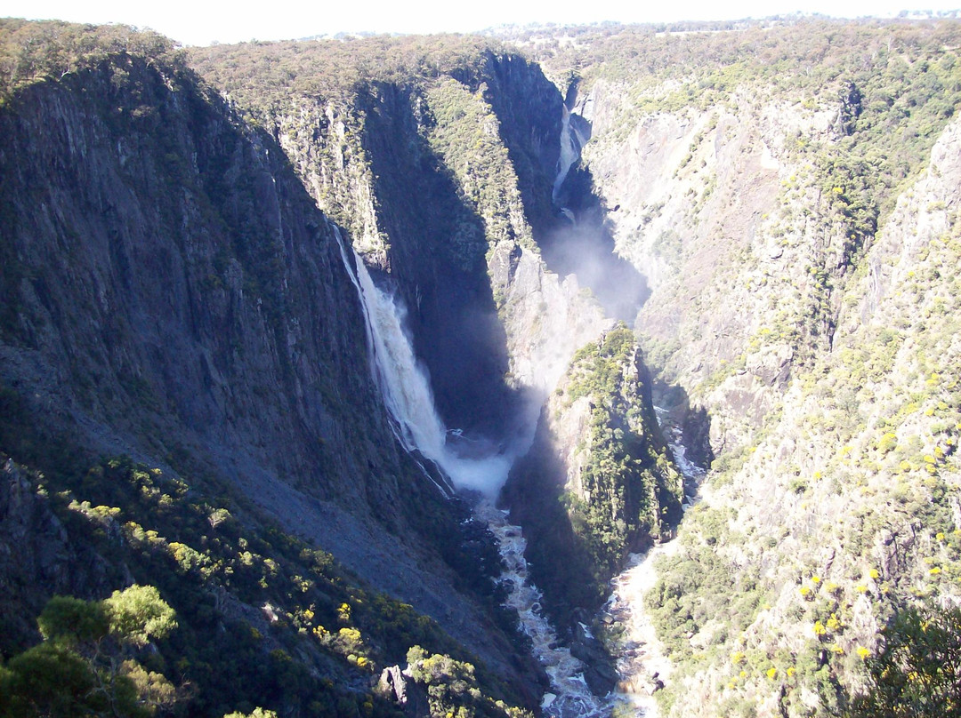 Wollomombi Falls景点图片
